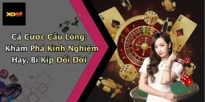 Cá Cược Cầu Lông: Khám Phá Kinh Nghiệm Hay, Bí Kíp Đổi Đời