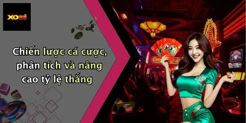 Chiến lược cá cược, phân tích và nâng cao tỷ lệ thắng