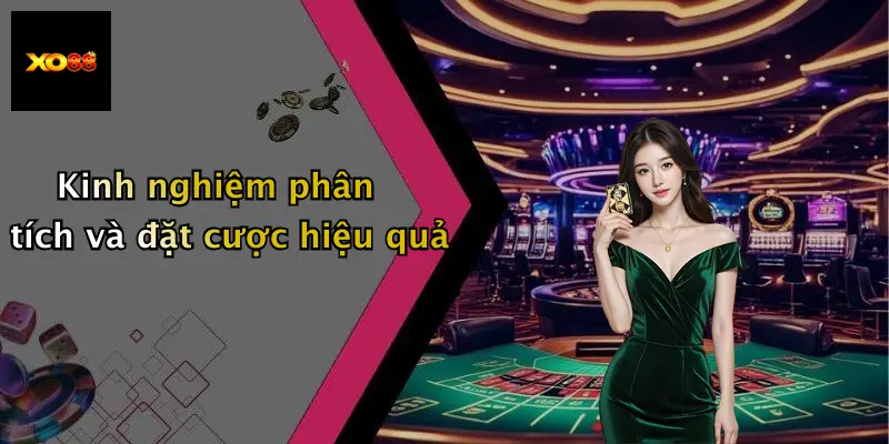 Kinh nghiệm phân tích và đặt cược hiệu quả