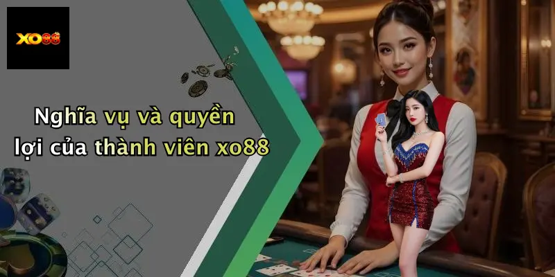 Nghĩa vụ và quyền lợi của thành viên xo88